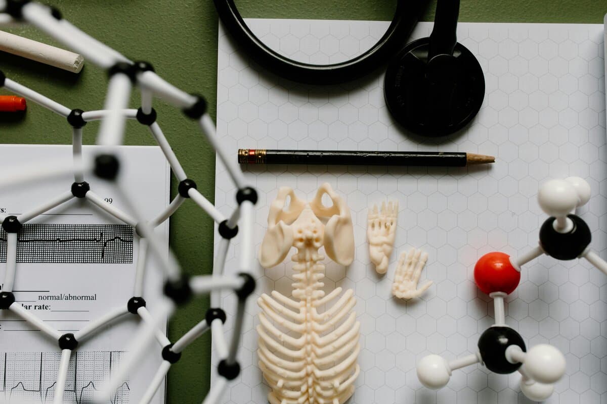 Public Health - Uni4edu